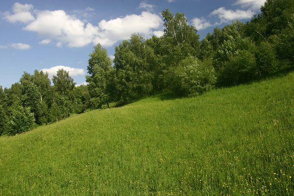 Přírodní památka Pod Hribovňou (23. 5. 2009)