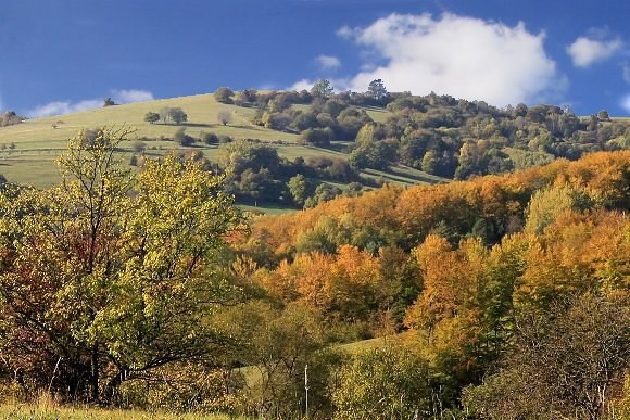 Žítkovský vrch s PR Pod Žitkovským vrchem, pohled z PR Hutě (22. 10. 2011), foto © Zdeněk Podešva