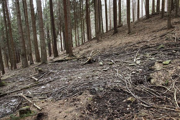 Lesní pěnovcové prameniště v horní části přírodní památce Salašské pěnovce (1. 3. 2014), foto © Zdeněk Podešva