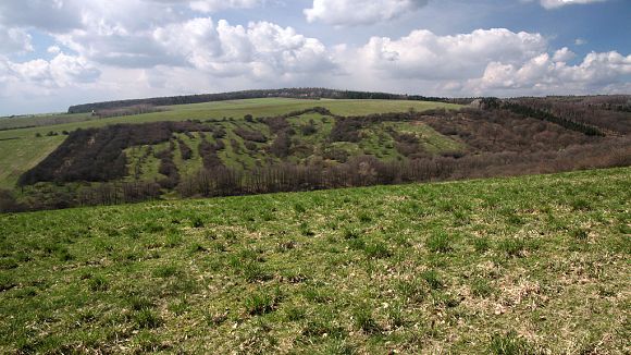 Přírodní památka Újezdecký les - výhled od lesa na pastviny na protějším svahu (4. 4. 2015), foto © Z. Podešva