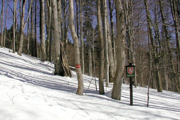 Přírodní památka Brodská (23. 2. 2003), foto © Zdeněk Podešva