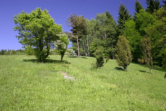 Přírodní památka Ježůvka - horní část (25. 5. 2005), foto © Z. Podešva