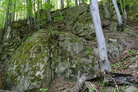 Přírodní památka Křížový (26. 4. 2007), foto © Z. Podešva
