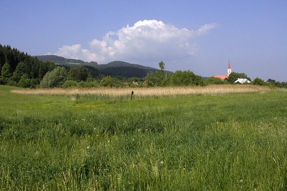 Přírodní památka Rákosina ve Stříteži nad Bečvou (31. 5. 2003), foto © Z. Podešva