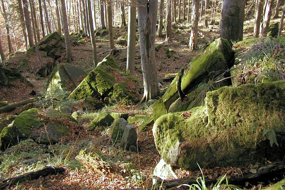 Přírodní památka Skálí (9. 11. 2003)
