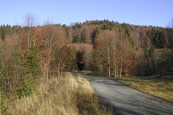 Závěr údolí Kobylská s přírodní památkou Skálí (9. 11. 2003)