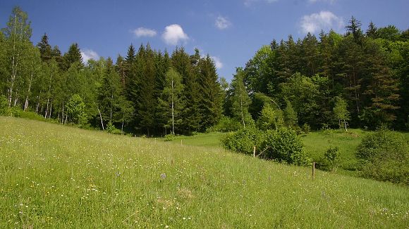 Přírodní památka Stříbrník (19. 5. 2007), foto © Zdeněk Podešva