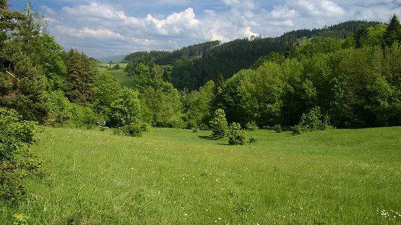 Přírodní památka Stříbrník (19. 5. 2007), foto © Zdeněk Podešva