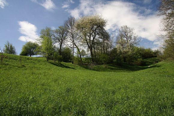 Přírodní památka Zbrankova stráň - mokřadní louka pod Dvorci (27. 4. 2014)