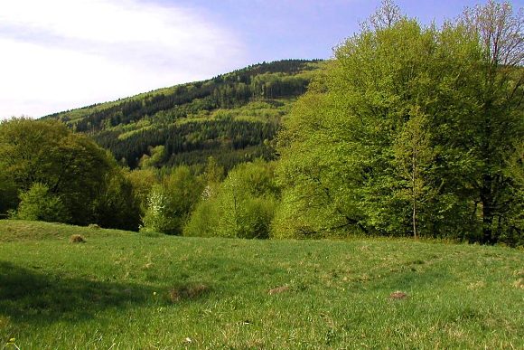 Přírodní rezervace Bílé potoky, část Fuksův láz (2. 5. 2003), foto © Zdeněk Podešva