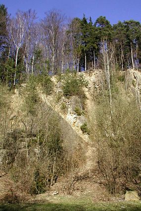Součástí přírodní památky Budačina je také opuštěný pískovcový lom (29. 3. 2002), foto © Zdeněk Podešva