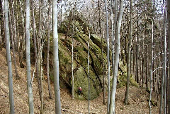 Přírodní památka Budačina – Velká skála (11. 3. 2003)