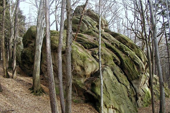 Přírodní památka Budačina (11. 3. 2003), foto © Zdeněk Podešva