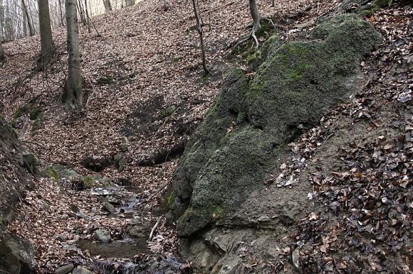 Ukázkové lesní pěnovcové prameniště pod studánkou Rybárka (21. 3. 2014)