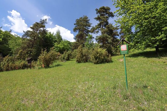 Spodní okraj přírodní památky Jalovcová louka (22. 5. 2022), foto © Zdeněk Podešva