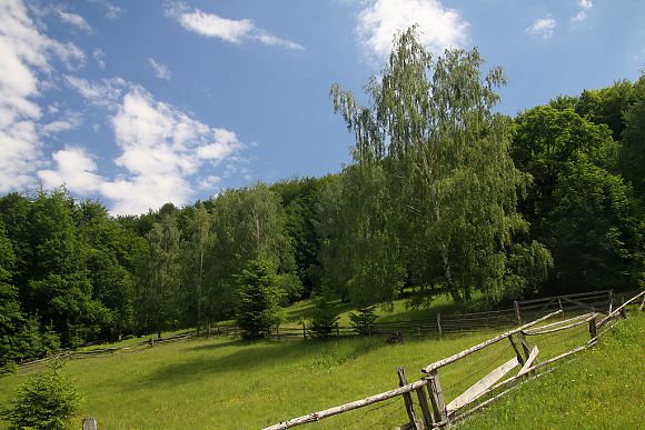 Přírodní památka Pod Cigánem (27. 5. 2012), foto (©) Zdeněk Podešva