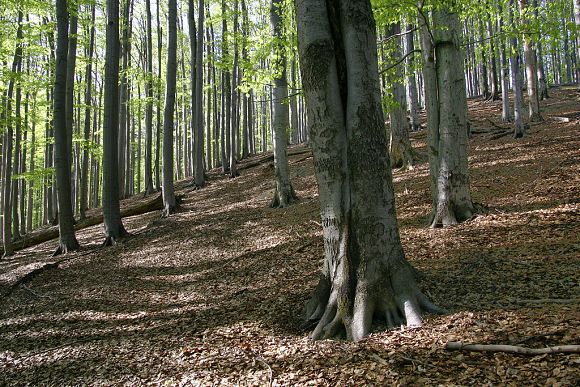 Přírodní památka Solisko (21. 4. 2009)