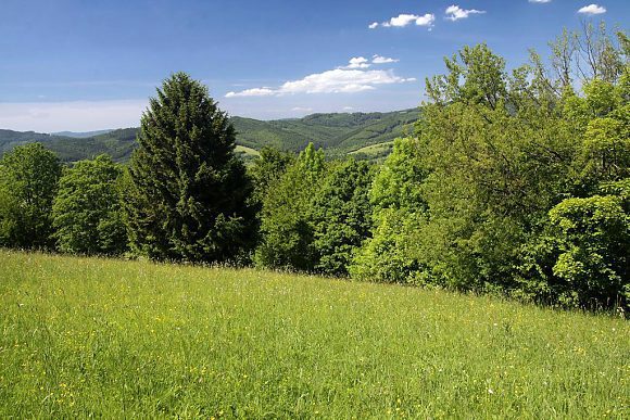 Přírodní památka Šumlatová (3. 6. 2017)