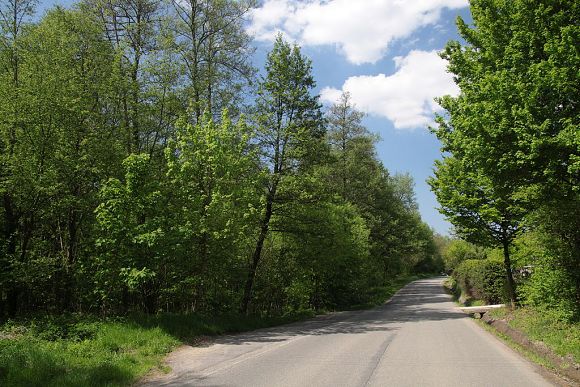Přírodní památka U rybníka (9. 5. 2011), foto © Zdeněk Podešva