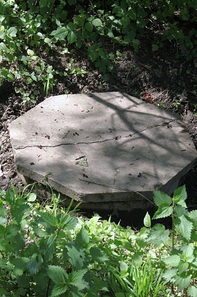 Přírodní památka U rybníka, detail studny (9. 5. 2011)