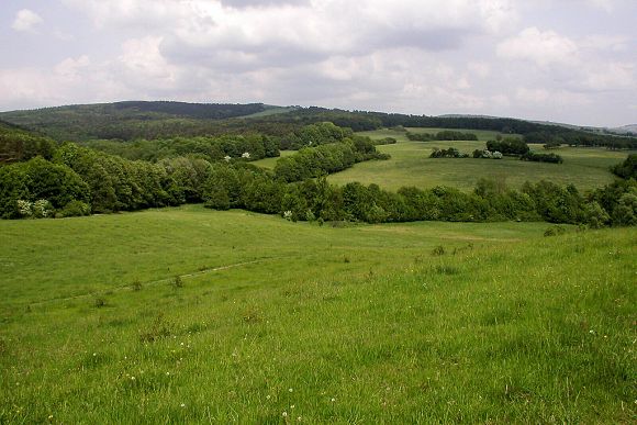 Niva Černého potoka s PR Uhliska (květen 2003), foto © Zdeněk Podešva