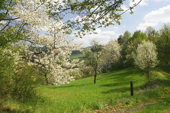 Přírodní park Želechovické paseky (20. 4. 2007), foto © Zdeněk Podešva