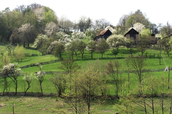 Přírodní park Želechovické paseky (4. 4. 2003), foto © Zdeněk Podešva
