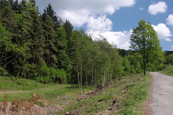 PP Želechovické paseky - okolí pramene po odstranění náletových dřevin (18. 5. 2011), foto © Zdeněk Podešva