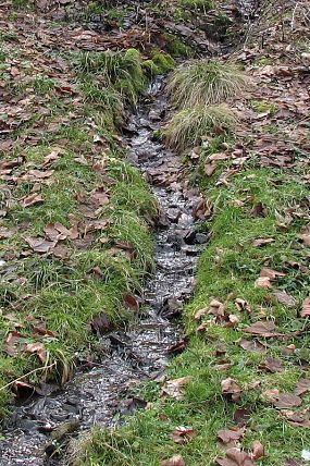 Přírodní památka Zelené údolí (5. 2. 2007)