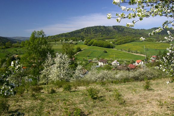 Přírodní památka Nad Kašavou (21. 4. 2009)
